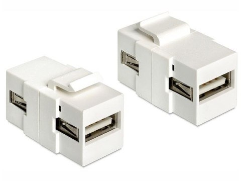 Delock Moduł Keystone USB 2.0 A(F)A(F)