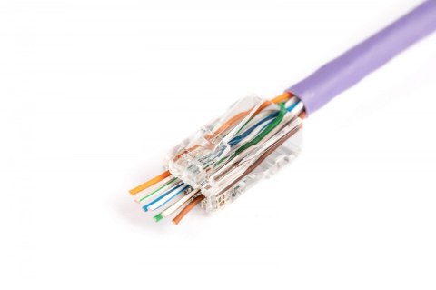 Digitus Wtyk RJ45 (8P8C) przelotowy, kat.6, nieekranowany, AWG 26-24, opakowanie 100 szt.