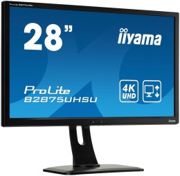 Iiyama 28