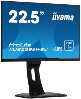 Iiyama 22.5