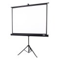 Ekran projekcyjny na statywie Overmax Tripod Screen 60