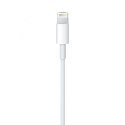 Apple kabel przewód USB-A - Lightning 2m biały (MD819)