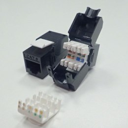 NETRACK Moduł keystone Jack RJ45 kat. 6 UTP, beznarzędziowy Netrack