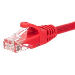 NETRACK Patchcord RJ45, Netrack osłonka zalewana, kat. 5e UTP, 0,5m czerwony