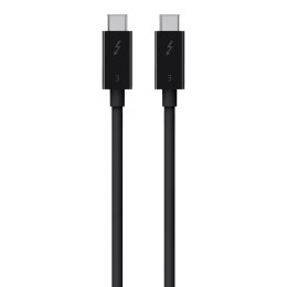 Belkin Kabel Thunderbolt 3 c-c 40Gbps 0,8m