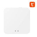 Inteligentna bramka multihub Avatto GW02 ZigBee 3.0 BLE SigMesh WIFI TUYA