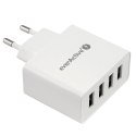 EverActive Ładowarka sieciowa 4x USB 5A Iq smart charging Biała