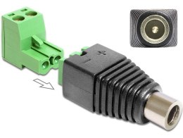 Delock Adapter TERMINAL B LOCK 2PIN-DC 2.5X