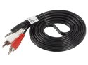 LANBERG Kabel Minijack - 2x Chinch M/M 2M